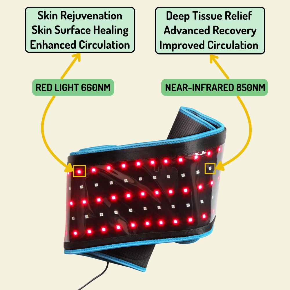 Red Light Therapy Flex Belt – Supports Pain Relief & Recovery